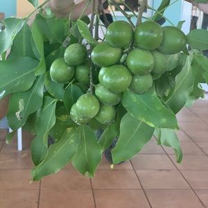 Meet your Posher, Nelly